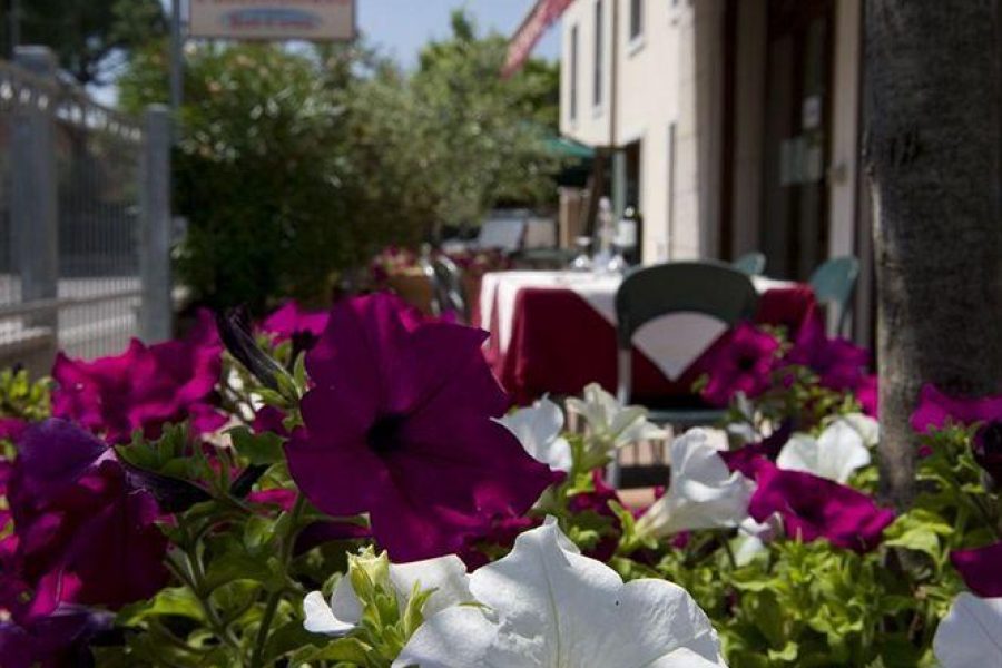 Catania - Castelnuovo del Garda - Hotel Scaligero