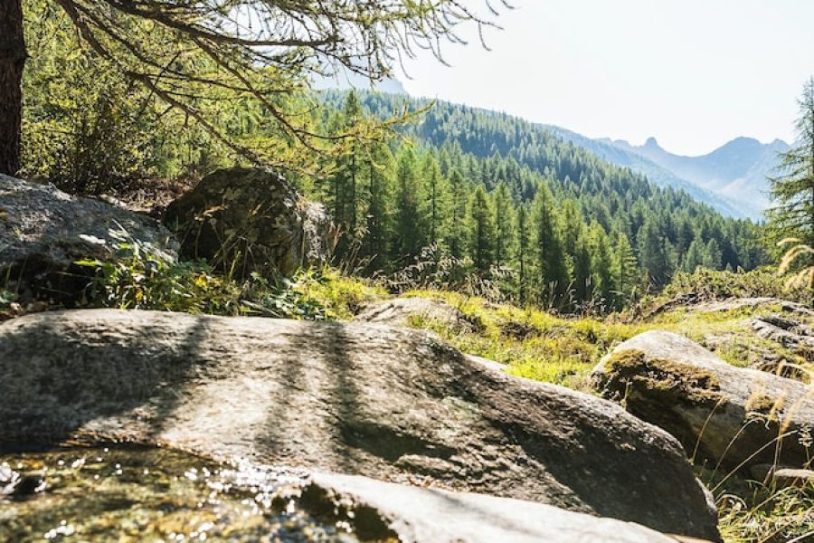 Catania - Monte Rosa