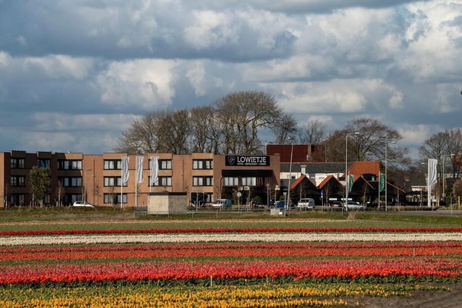 Milano - Lisse - Hotel Lowietje Lisse - Keukenhof - Free Parking