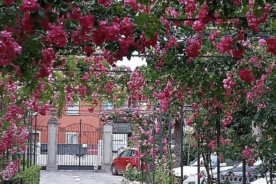 Milano - Senigallia - Hotel Villa Pina