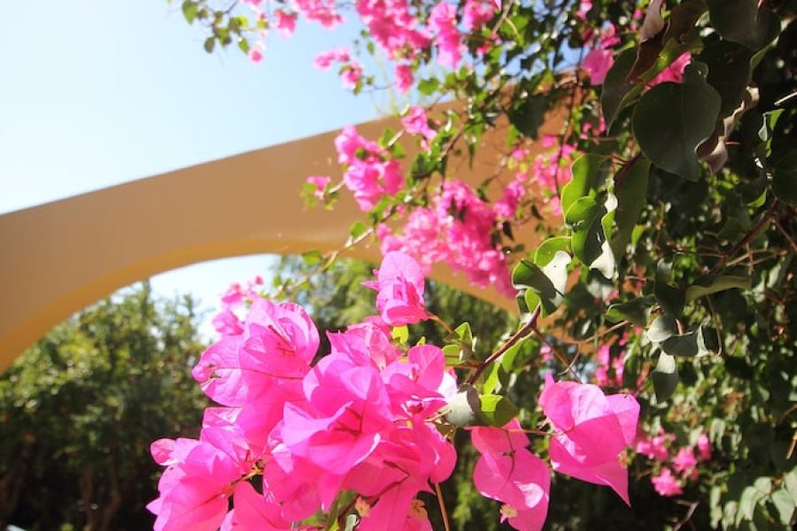 Roma - Plakias - Horizon Beach Hotel