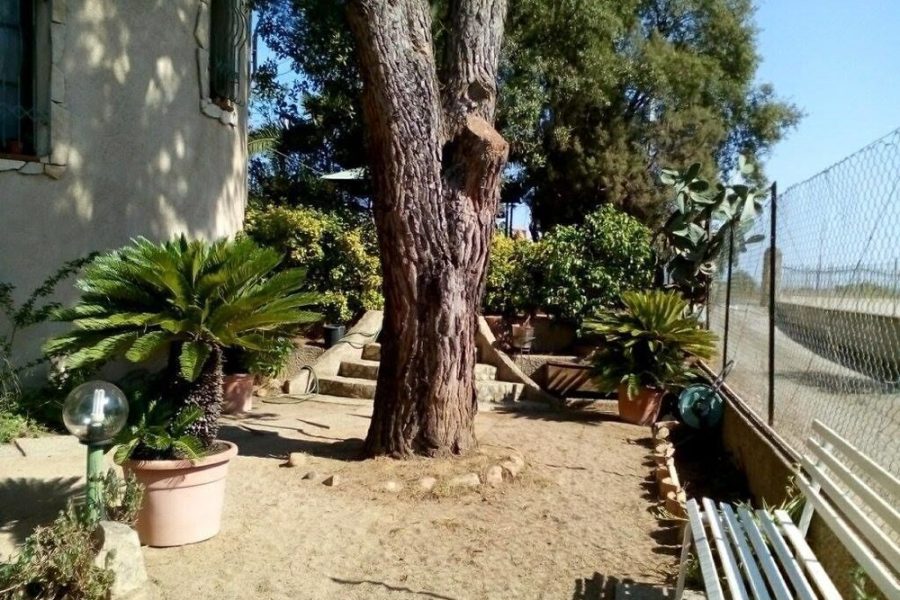 Verona - Maddalenedda - B&B Il Vigneto