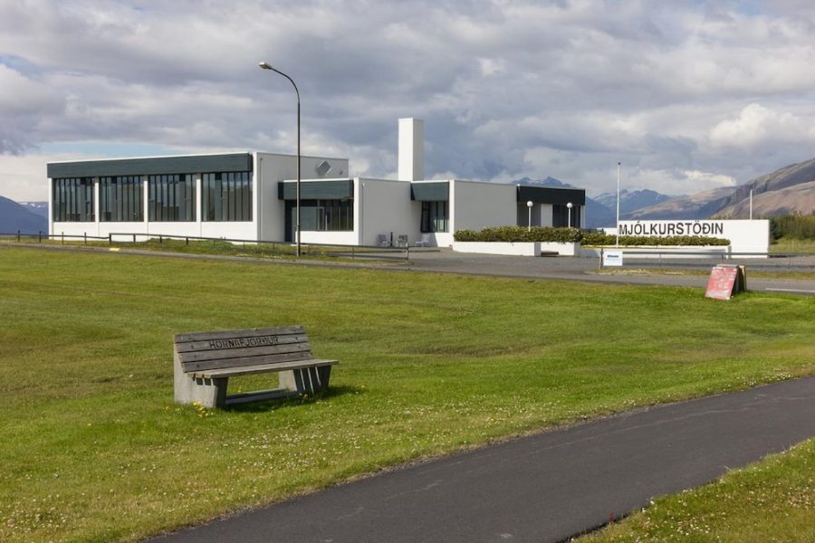 Roma - Höfn - Milk Factory