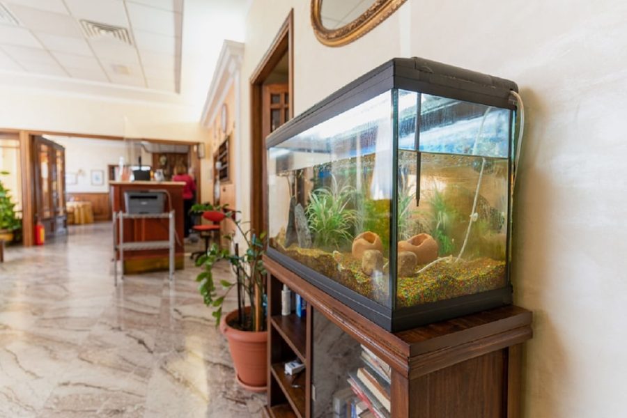 Milano - Oristano - Hotel Villa Delle Rose