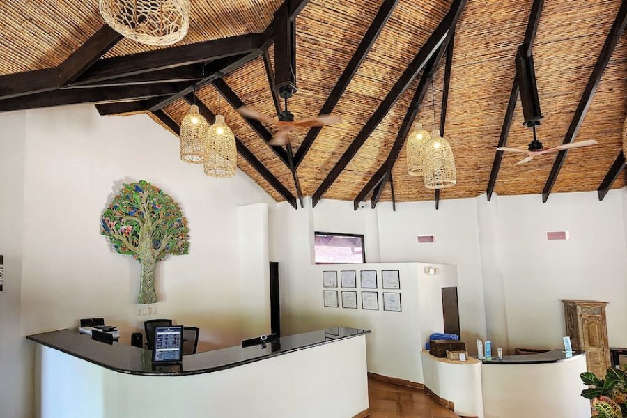 Milano - Playa Conchal - Reunion Wellness Resort & Retreats