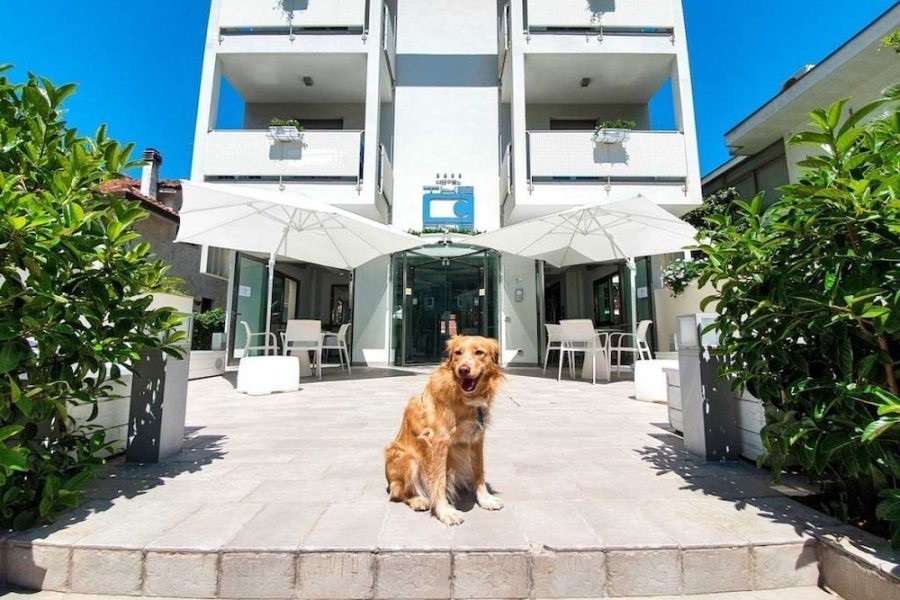 Milano - Riccione - The One Hotel - Designed for Adults - Pet lovers
