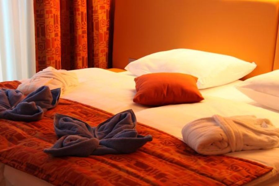 Roma - Laško - Hotel Thermana Park Laško**** Superior