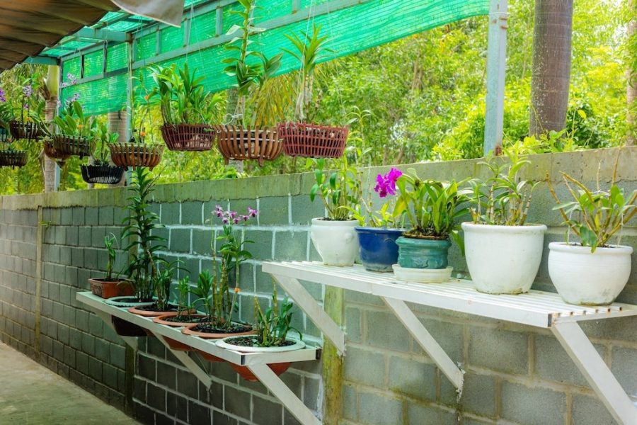 Roma - Phu Quoc Island - Bungalow Tài Phát