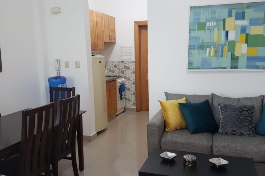 Torino - Santiago de los Caballeros - Apartamento Hony lN