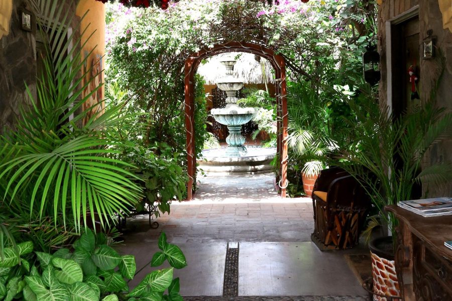 Milano - Cabo San Lucas - The Mexican Inn