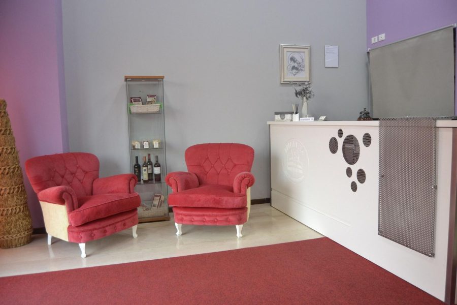 Cagliari - Roma - Hotel Bella Vita