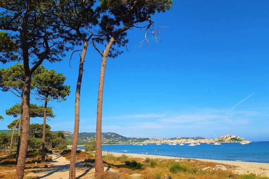 Milano - Calvi - Camping Dolce Vita