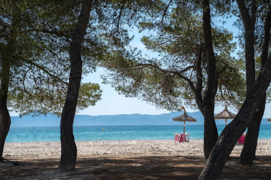 Napoli - Alcudia - Apartamentos Caprice Playa de Alcudia