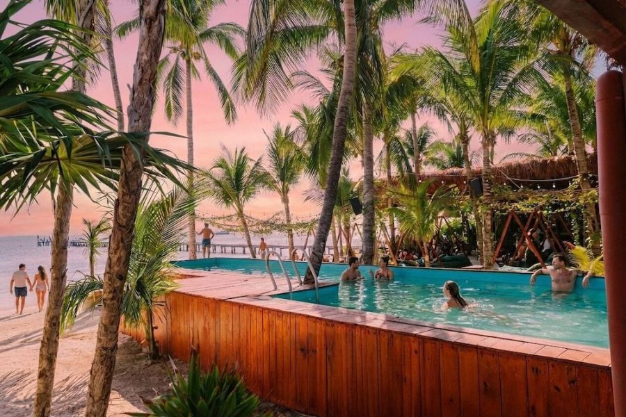 Roma - Cancun - Mayan Monkey Isla Mujeres - Social Hotel
