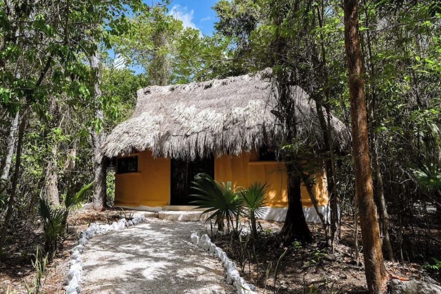 Roma - Leona Vicario - Jolie Jungle Eco Hotel