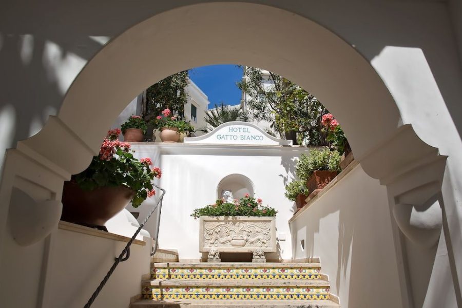 Venezia - Capri - Albergo Gatto Bianco