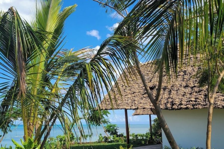 Firenze - Zanzibar - Kidoti Bay