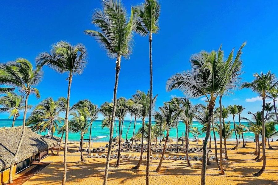 Firenze - Repubblica Dominicana Est - Area di Punta Cana - Hotel NEON by Playa Palmera Beach Resort