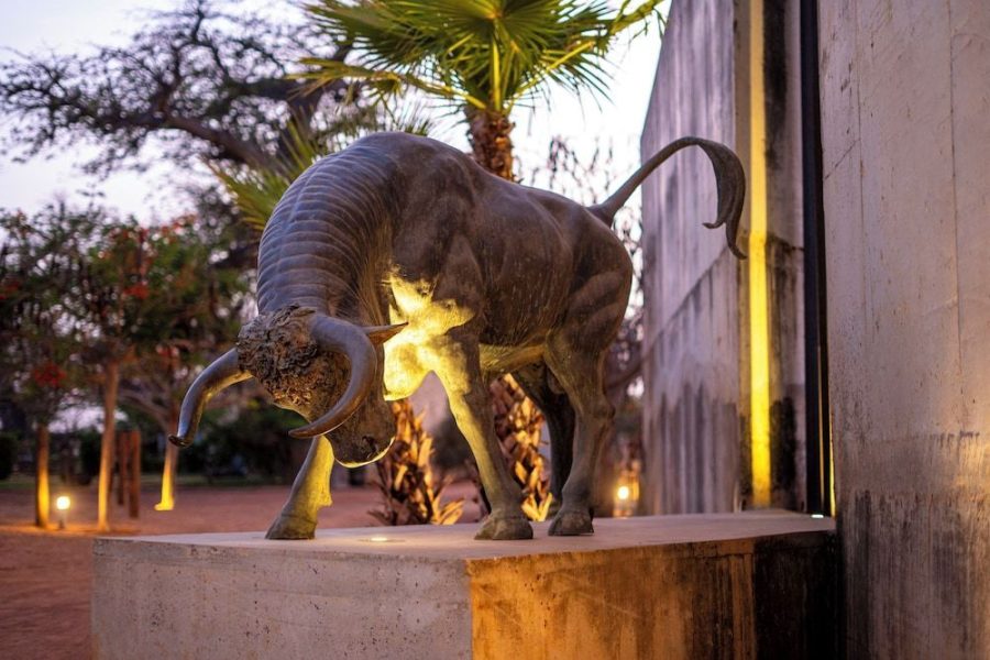 Milano - Senegal - Casa del Toro Luxury Ranch