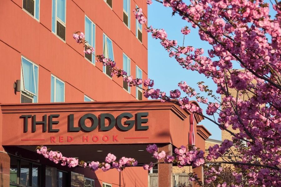 Bologna - New York - The Lodge Red Hook