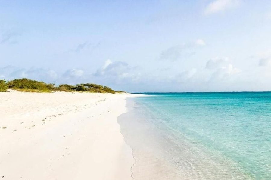Roma - Palm Beach - Eagle Stays Aruba