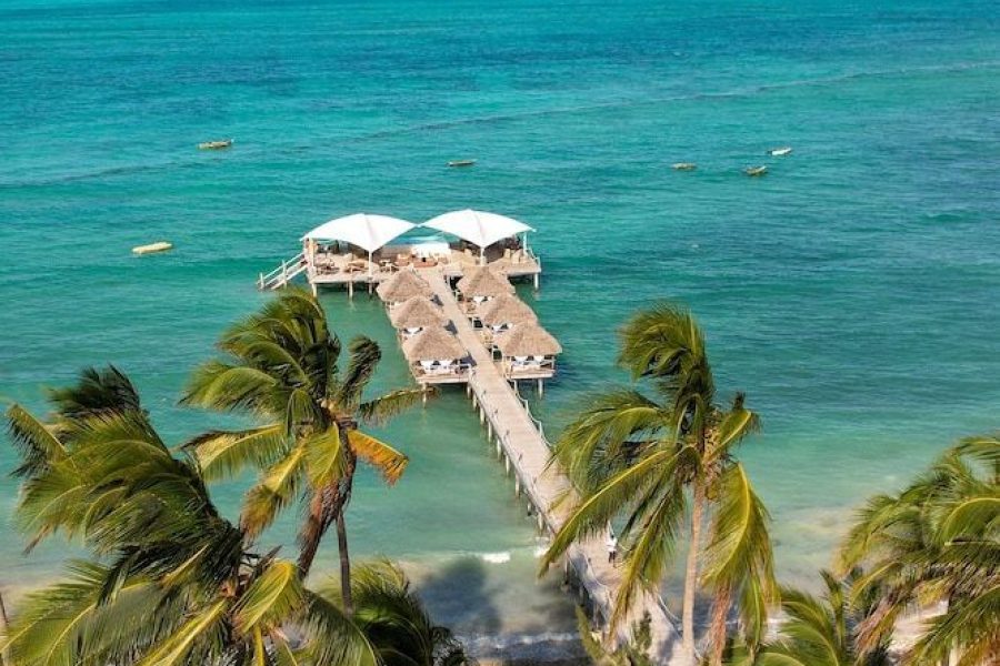Torino - Zanzibar - Blue Moon Resort