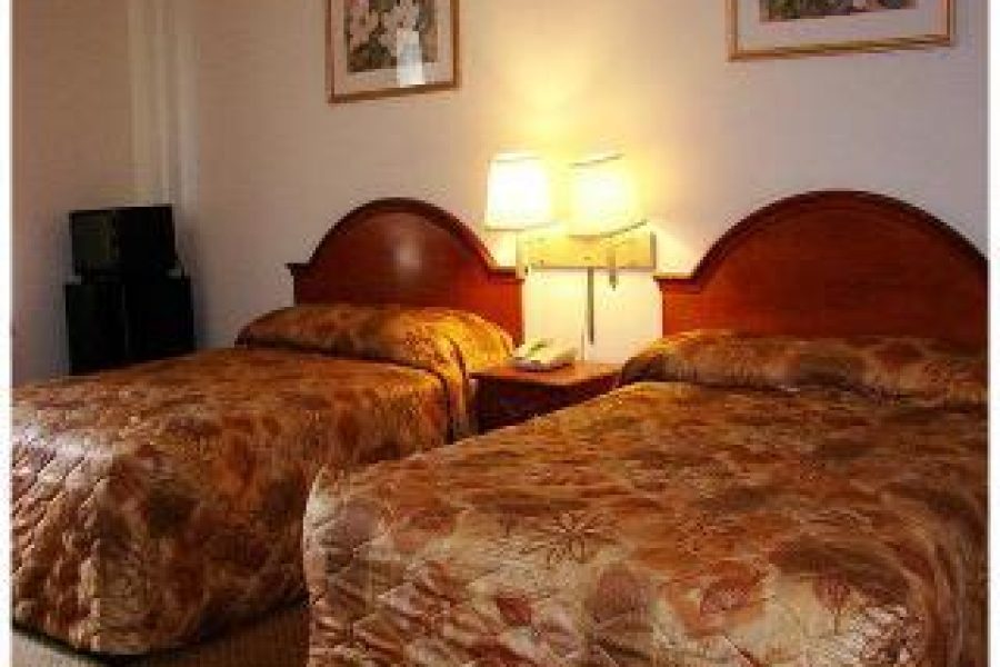 Bari - New York - Red Carpet Inn Brooklyn