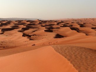 Deserto dell'Oman - Foto di Patrick Fransoo
