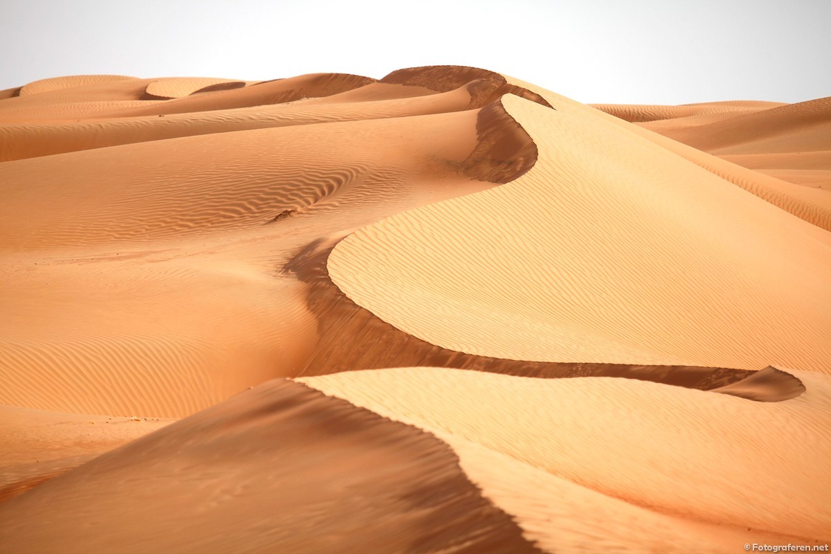 Dunes, Al Sharqiya Sands - Foto AIGO