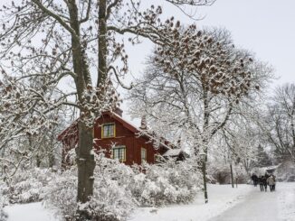 Svezia in inverno