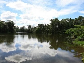 Laguna San Pedro Joya de los Sachas, suggestivo paesaggio dell'Ecuador ©Ministerio de Turismo del Ecuador