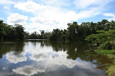 Laguna San Pedro Joya de los Sachas, suggestivo paesaggio dell'Ecuador ©Ministerio de Turismo del Ecuador