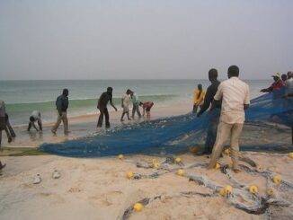 Pescadores na Mauritânia