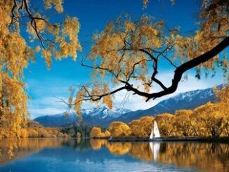 Splendido paesaggio della Nuova Zelanda ©NewZeland.com