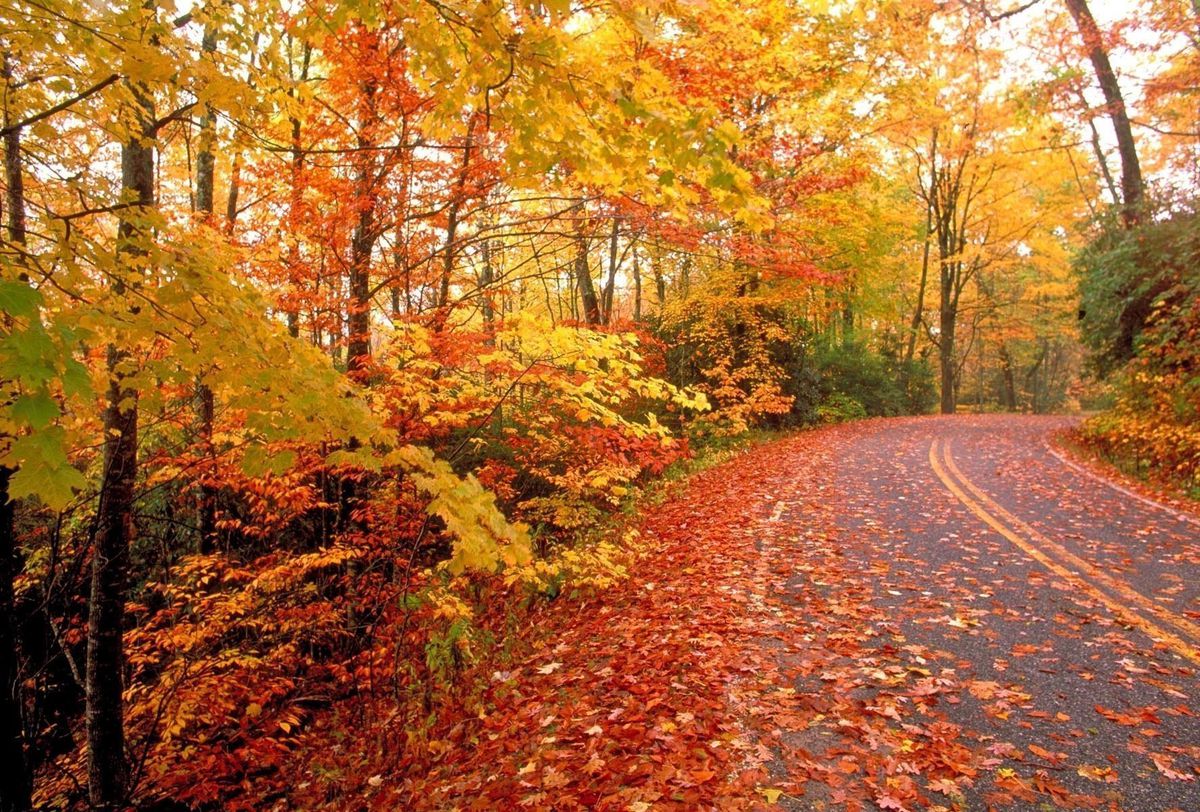 Foliage in Pennsylvania lungo la strada