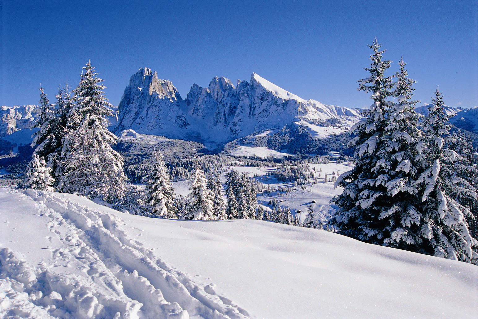 Neve in Trentino