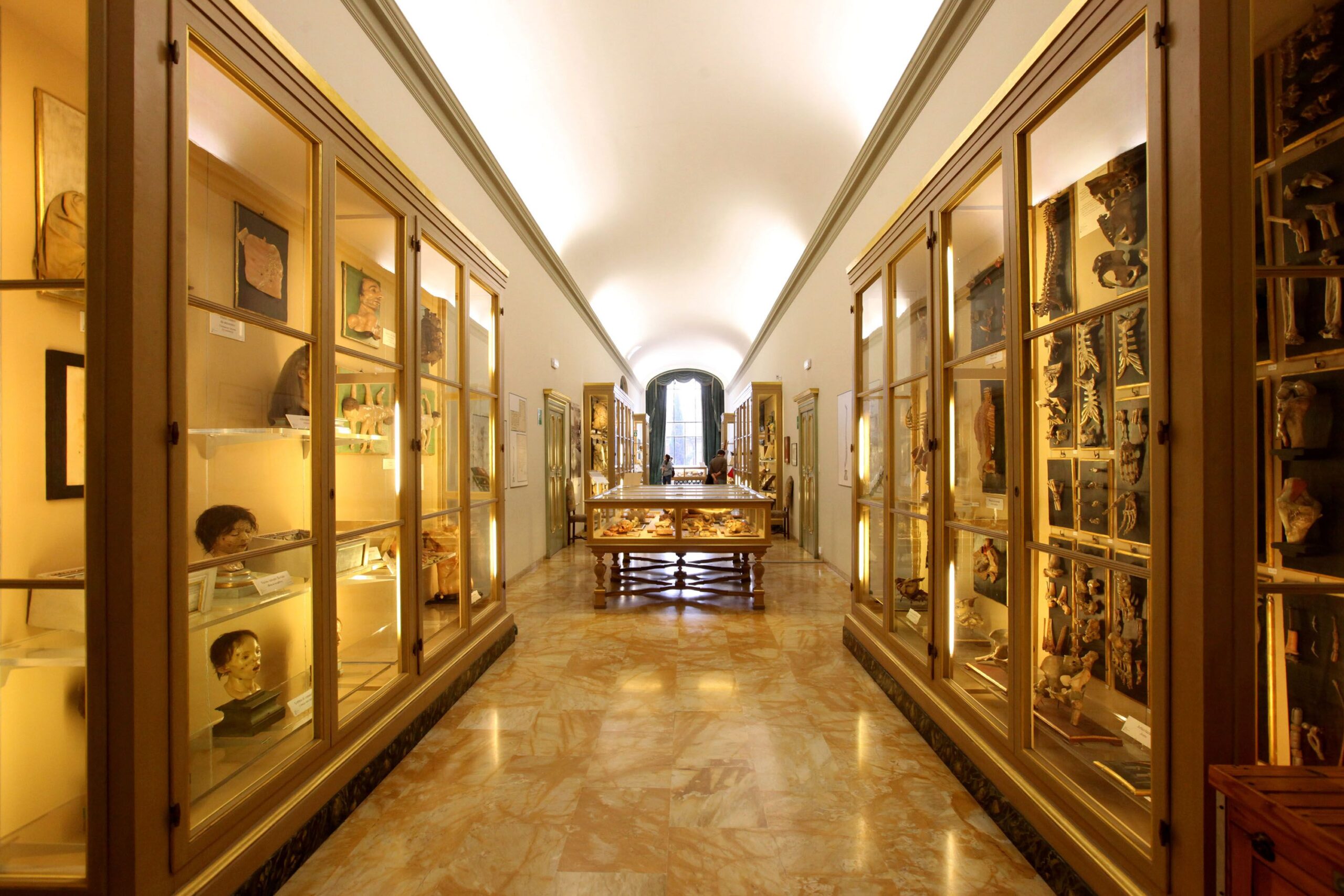 Museo delle cere anatomiche di Bologna