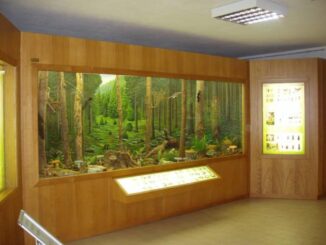 Museo naturalistico di Asiago