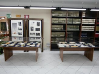 Biblioteca Museo Luigi Pirandello