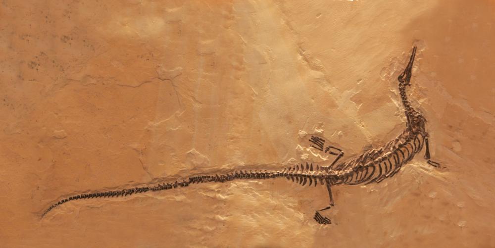 Museo mineralogico campano