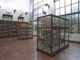 Museo di storia naturale di Parma