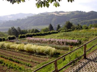 Jardin d'herbes aromatiques "A. Rinaldi Ceroni"