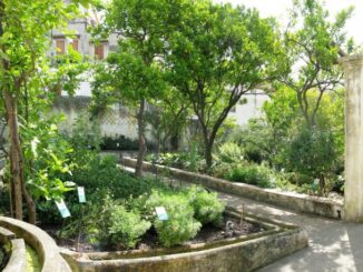 Orto botanico Giardino della Minerva