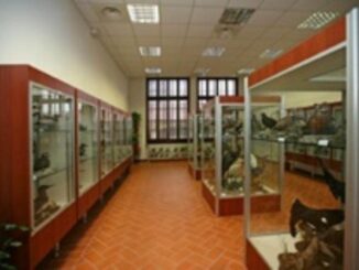 Museo ornitologico di Piacenza