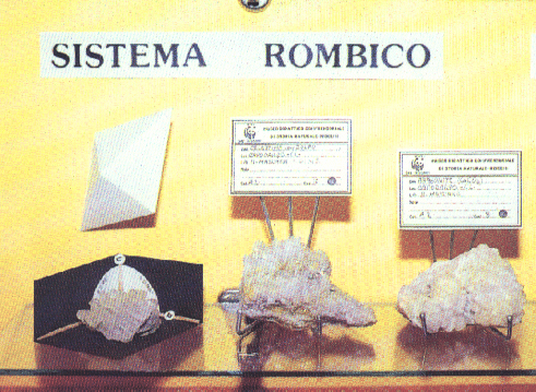 District educational museum of natural history, Niscemi 2