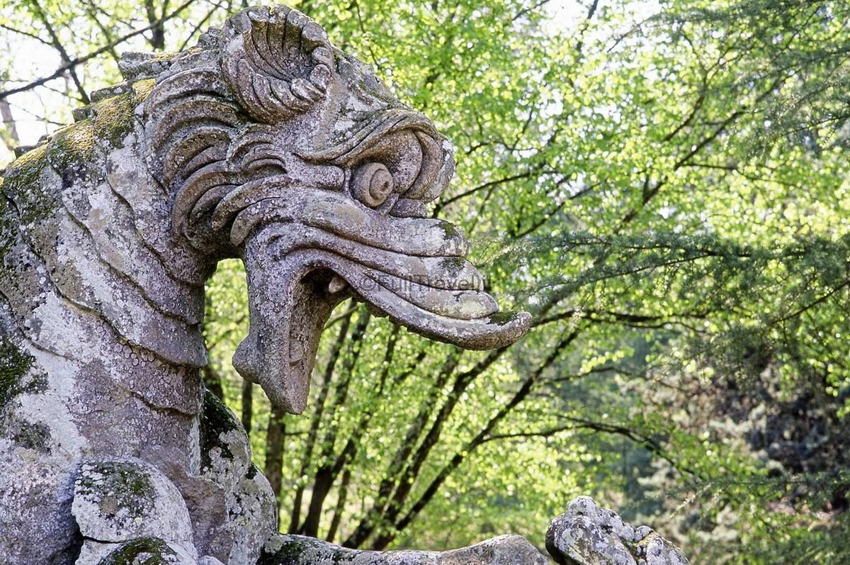 Parco dei Mostri, Bomarzo: il drago ©Foto Massimo Vicinanza