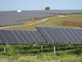 fotovoltaico pannelli