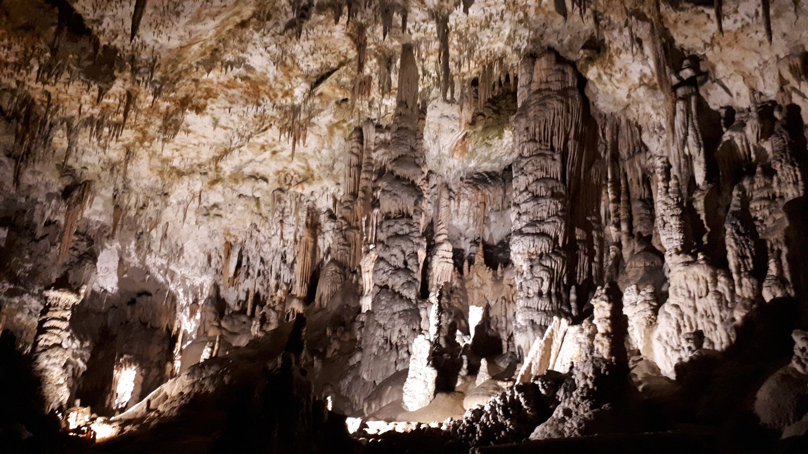 Grotte di Postojnska