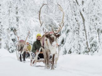 Rovaniemi, il villaggio di Babbo Natale, nella Lapponia finladese