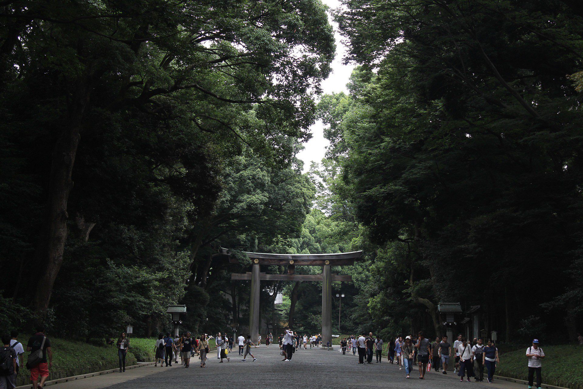 Yoyogi Park Tokyo - Foto di Giada Nardi